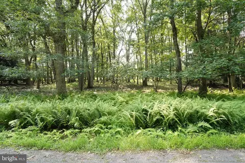 123 124 Broad Mountain View Dr, Jim Thorpe, PA 18229