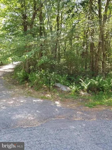n sycamore & lauan lane, Jim Thorpe, PA 18229