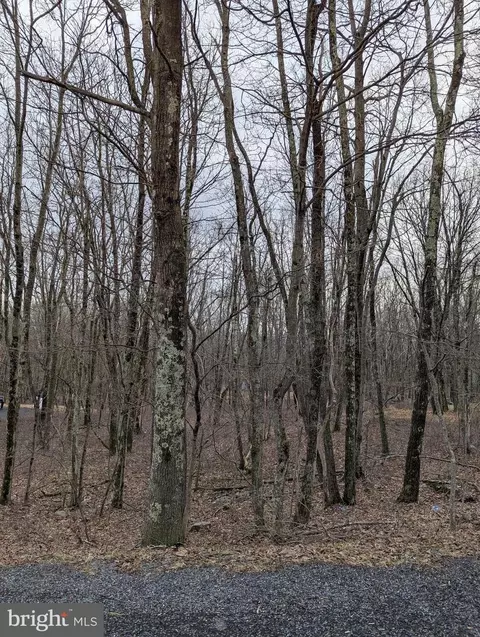 0 Seneca Rd, Albrightsville, PA 18210