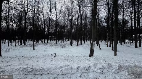 0 Stony Mountain Rd #LOT EV961, Albrightsville, PA 18210
