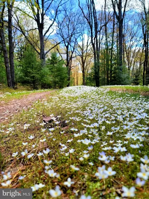 614 Graystones Jeras Rd #LOT H-14, Albrightsville, PA 18210
