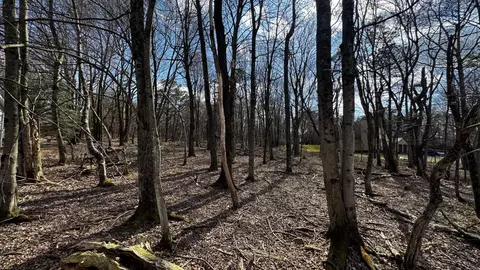 0 Stony Mtn, Albrightsville, PA 18210