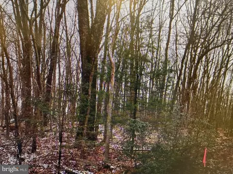 Black Bear Pass, White Haven, PA 18661