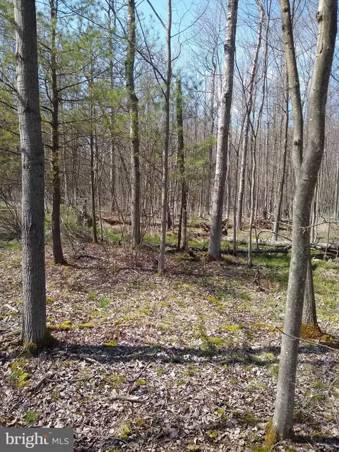 0 Clover St, Philipsburg, PA 16866
