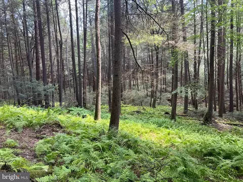 lot74 Indian Springs Rd, Frenchville, PA 16836
