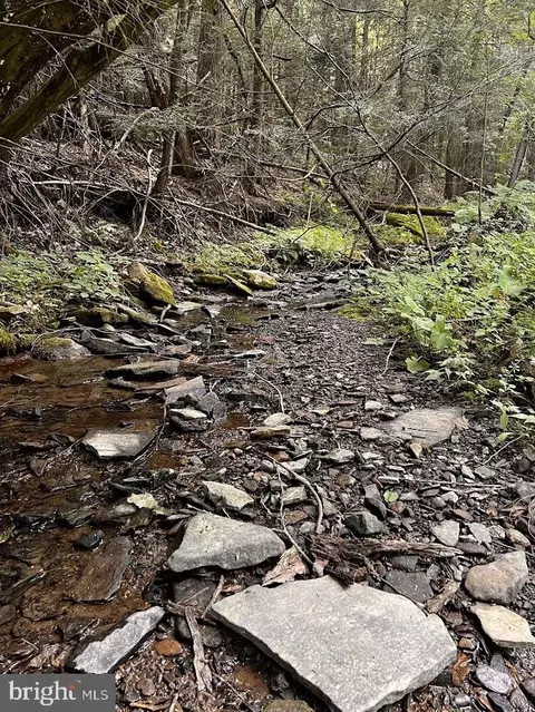 0 Stiner Rd, Clearfield, PA 16830