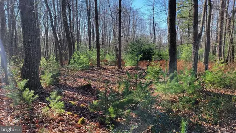 0 Deer Creek Rd, Morrisdale, PA 16858