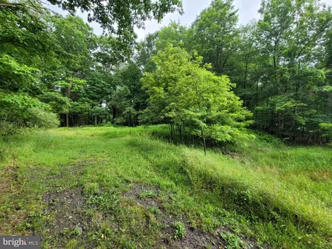 Viola Pike, Smithmill, PA 16680 photo 4