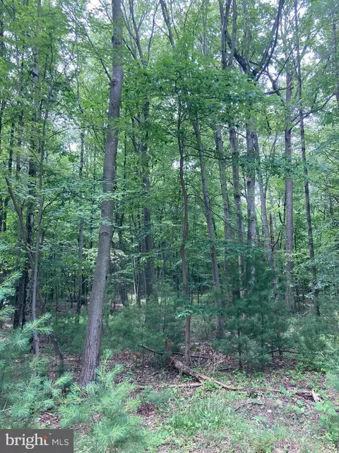 389 Blue Ball Rd, Centre Hall, PA 16828