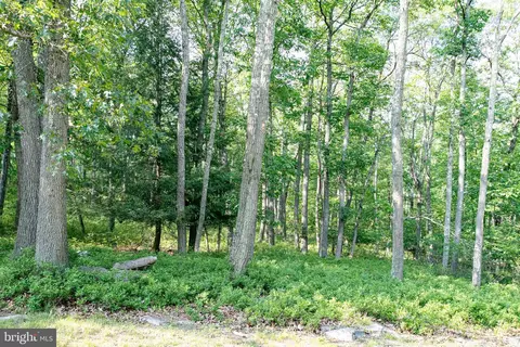 Lot On Main Road, Spring Mills, PA 16875