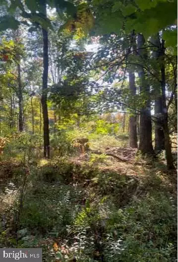 0 Susan Ln, Port Matilda, PA 16870
