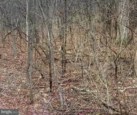 Lot On Oldside Road, Clarence, PA 16829