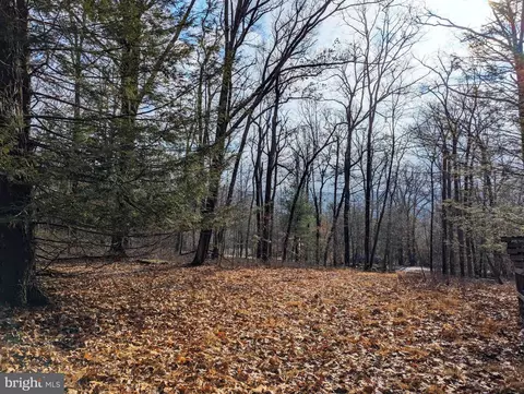 153 Main Rd, Spring Mills, PA 16875 photo 4