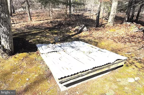 173 Main Rd, Spring Mills, PA 16875 photo 19