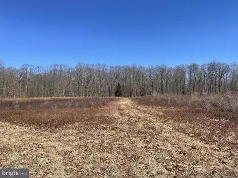 Land On Black Moshannon Road, Philipsburg, PA 16866