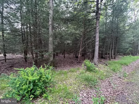 0 Viehdorfer Rd, Karthaus, PA 16845