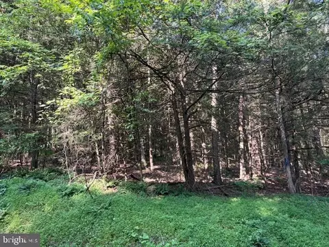 lot On Schencks Grove Rd, Howard, PA 16841