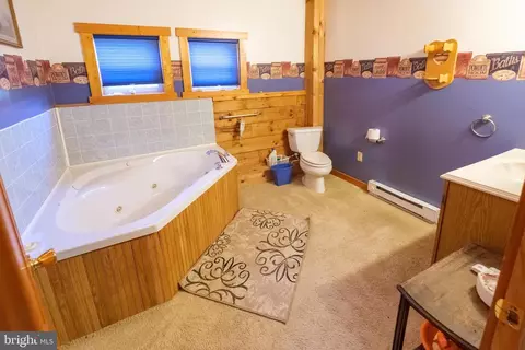 Bath - 302 Railroad St, Blanchard, PA 16826 photo 3 of 7