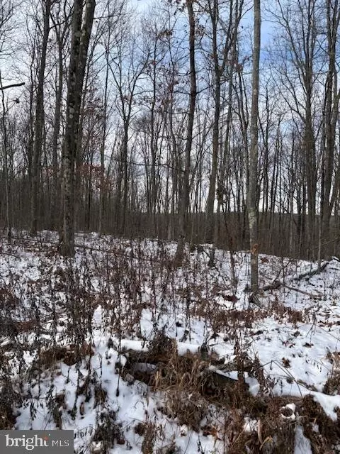 0 Little Wolf Rd, Clarence, PA 16829