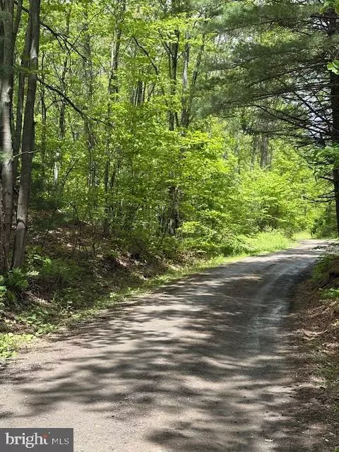 0 Little Wolf Rd, Clarence, PA 16829