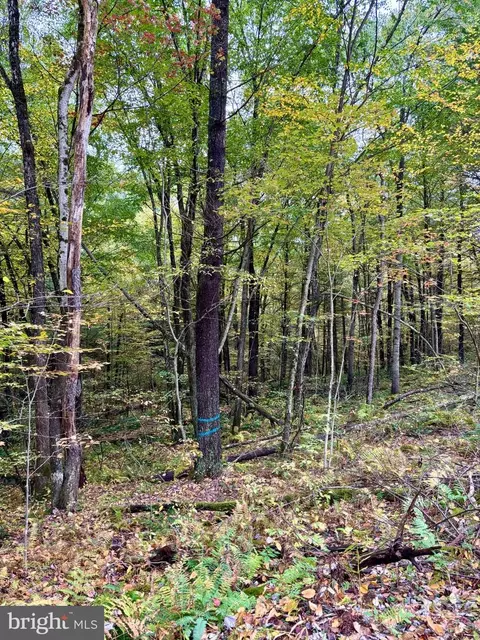 1 Beech Creek Mountain Rd, Beech Creek, PA 16822