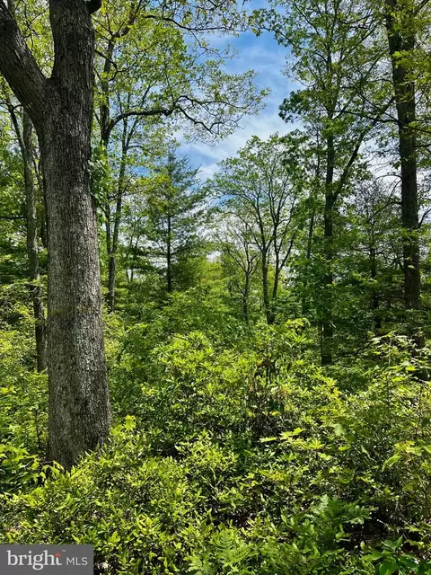 16 Beech Creek Mountain Rd, Beech Creek, PA 16822