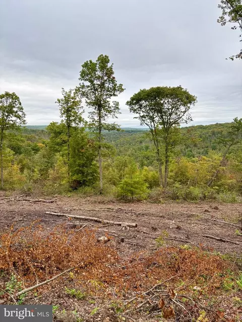 31-36 Beech Creek Mountain Rd, Beech Creek, PA 16822