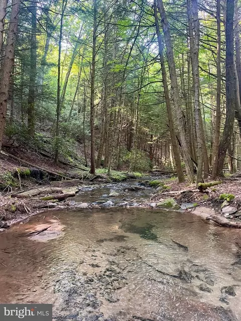 2500 Beech Creek Mountain Rd, Beech Creek, PA 16822