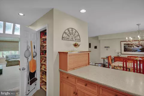 29 Newport Dr, Chesterbrook, PA 19087 photo 30