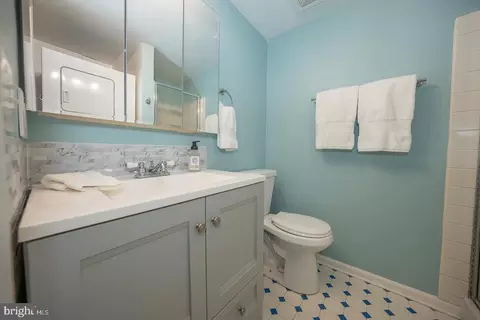 313 Washington Pl, Chesterbrook, PA 19087 photo 20