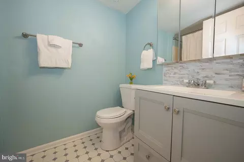 313 Washington Pl, Chesterbrook, PA 19087 photo 24