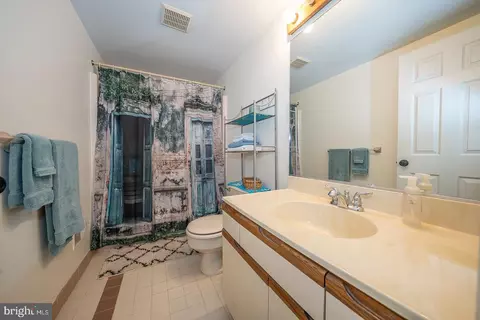 307 Valley Stream Ln, Chesterbrook, PA 19087 photo 23
