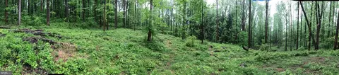 130 Pumpkin Hill Rd, Glenmoore, PA 19343