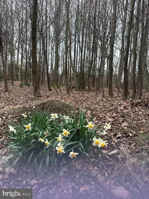 814 Newhall Newhall Rd, Kennett Square, PA 19348