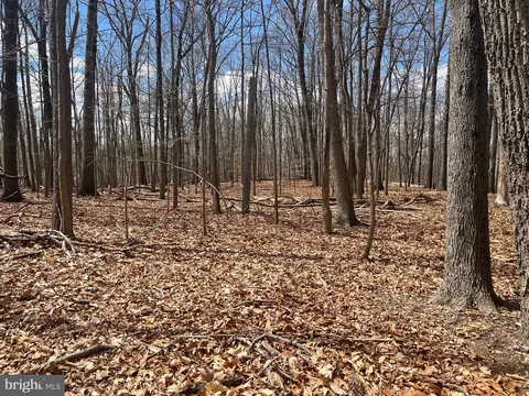 Other - 117 Spring Rd, Malvern, PA 19355 photo 1 of 7