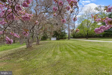 Exterior - 897 Richards Rd, Wayne, PA 19087 photo 7 of 7