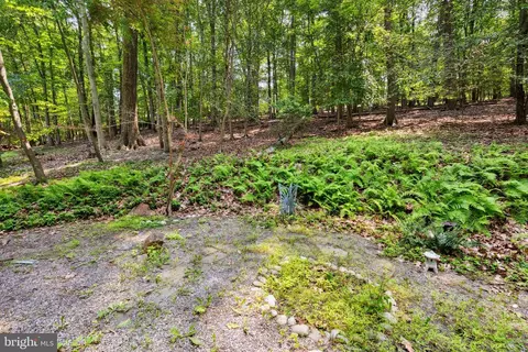 100 Pugh Rd, Wayne, PA 19087 photo 50