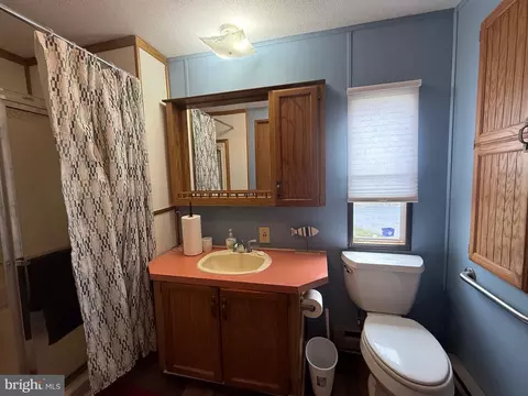 12 Skyview Dr, Hershey, PA 17033 photo 31