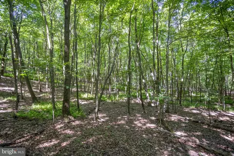 0 Rutter Rd, Halifax, PA 17032 photo 15