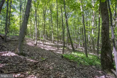 0 Rutter Rd, Halifax, PA 17032 photo 16