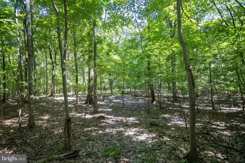 0 Rutter Rd, Halifax, PA 17032 photo 20