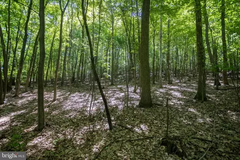 0 Rutter Rd, Halifax, PA 17032 photo 9