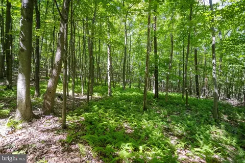 0 Rutter Rd, Halifax, PA 17032 photo 19