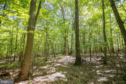 0 Rutter Rd, Halifax, PA 17032 photo 14