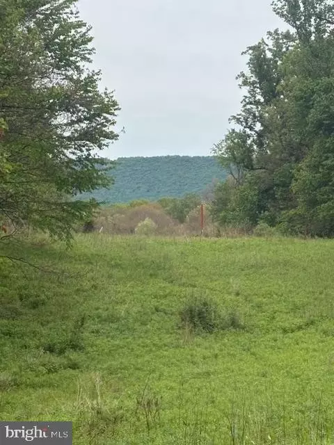 1311 Red Hill Rd, Dauphin, PA 17018