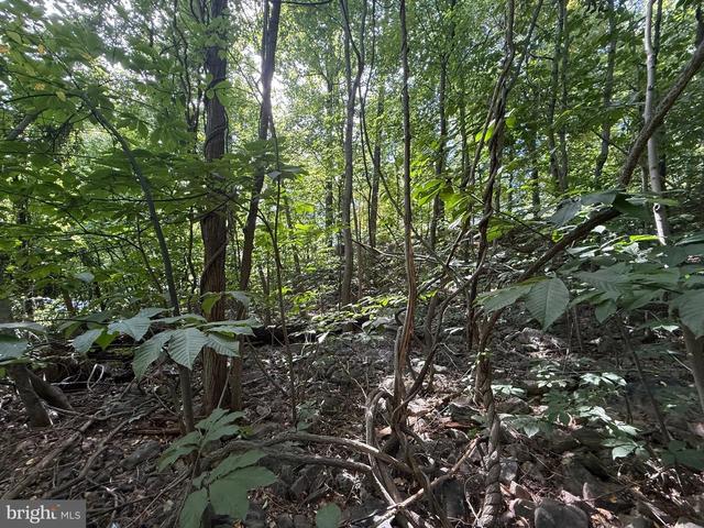 lot60 Dogwood Rd, Harrisburg, PA 17110