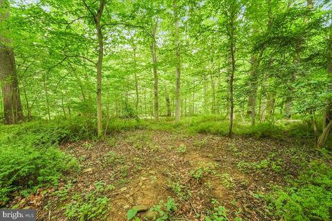 Philips Lane, Newtown Square, PA 19073