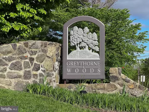 37 Greythorne Woods Cir, Wayne, PA 19087 photo 42