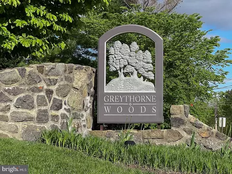 41 Greythorne Woods Cir, Wayne, PA 19087 photo 31