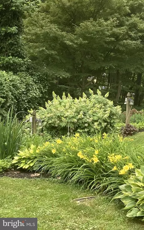 21 Weirwood Rd, Wayne, PA 19087 photo 50